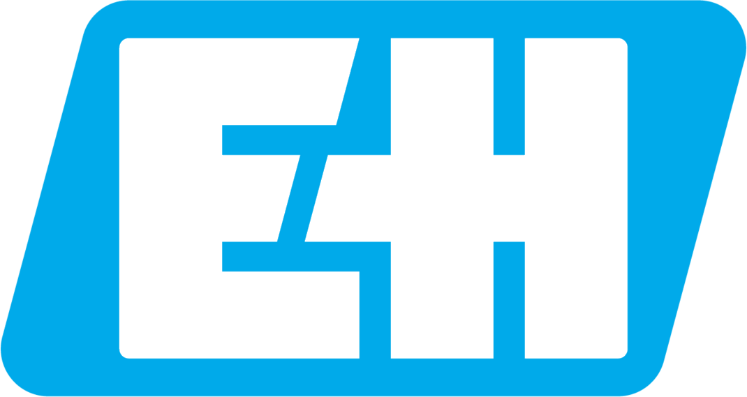 Endress+Hauser